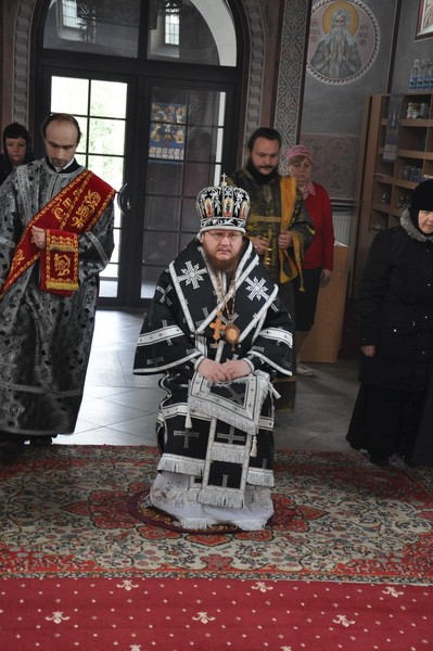 DSC_0005_новый размер