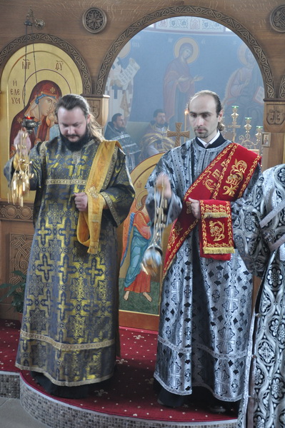 DSC_0008_новый размер