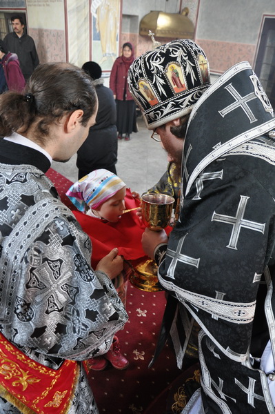 DSC_0065_новый размер