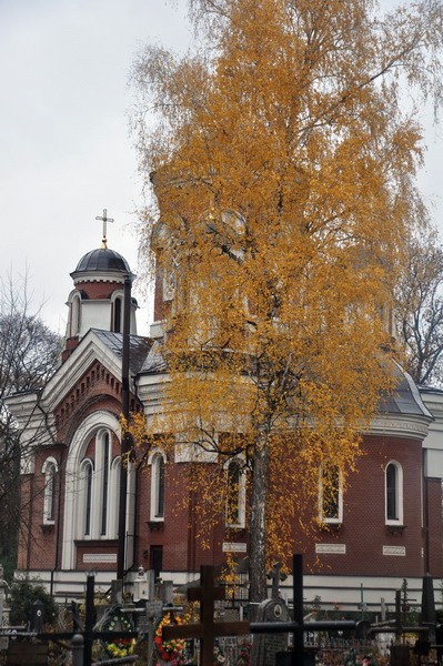 DSC_0382_новый размер